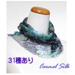 VNp[lbg`[lbNJo[ yIz31ށ@i30000~j