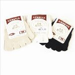 �y�啝�l�������i�z�\���V���N100�� 5�{�w�n�[�t�\�b�N�X�i���f�B�[�X�j ���{���@���R���Z�b�g�@�J�[�����������i�P�S�V�O�~