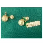 �l�H�p�[���i10000�~�j