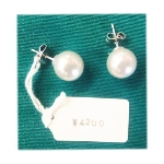 �l�H�p�[���i10000�~�j