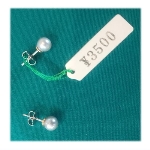 �l�H�p�[���i10000�~�j