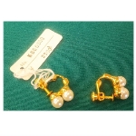 �l�H�p�[���i10000�~�j