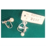 �l�H�p�[���i10000�~�j