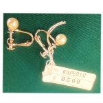 �l�H�p�[���i10000�~�j