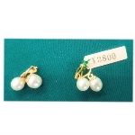 �l�H�p�[���i10000�~�j