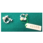 �l�H�p�[���i10000�~�j