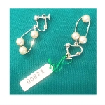 �l�H�p�[���i15000�~�j