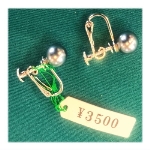 �l�H�p�[���i10000�~�j