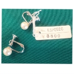 �l�H�p�[���i10000�~�j