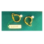 �l�H�p�[���i10000�~�j