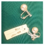 �l�H�p�[���i10000�~�j