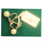 �l�H�p�[���i10000�~�j