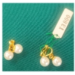 �l�H�p�[���i10000�~�j