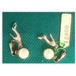 �l�H�p�[���i10000�~�j