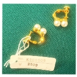 �l�H�p�[���i10000�~�j