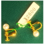 �l�H�p�[���i10000�~�j