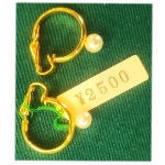 �l�H�p�[���i10000�~�j