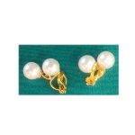 �l�H�p�[���i10000�~�j