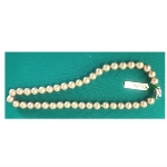 �l�H�p�[���i40000�~�j