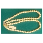 �l�H�p�[���i50000�~�j