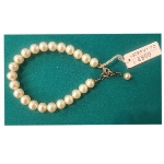 �l�H�p�[���i25000�~�j